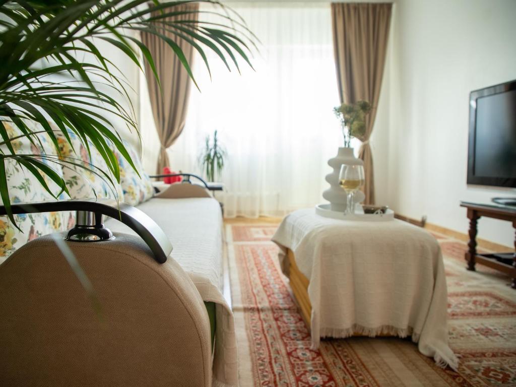 コンスタンツァにあるMarin Apartmentのベッド2台とテレビが備わるホテルルームです。
