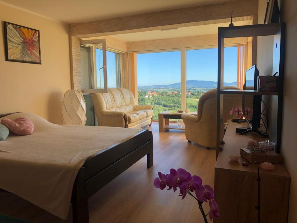 a bedroom with a bed and a living room with windows at VILA POGLED in Arandjelovac