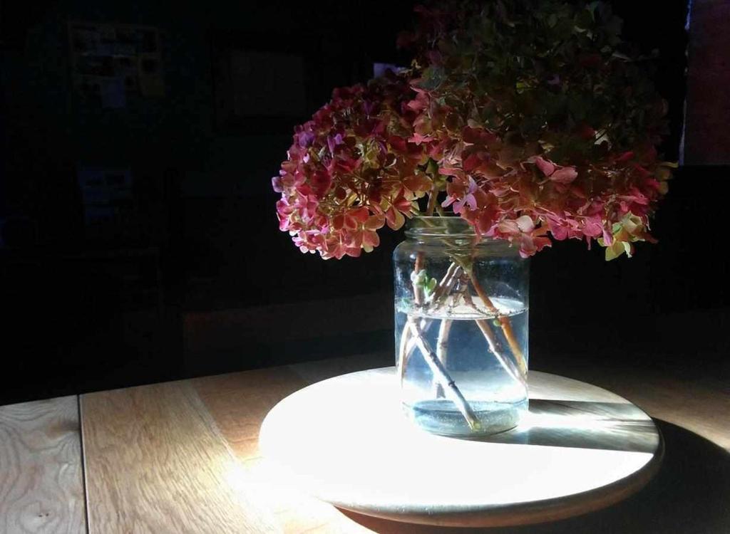 Fotografie z fotogalerie ubytování La Nogala Casa Rural v destinaci Labaniego