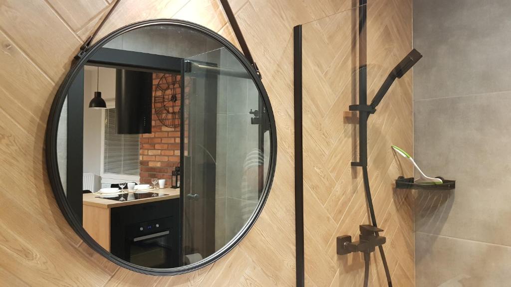 Kúpeľňa v ubytovaní Apartament Zamkowy