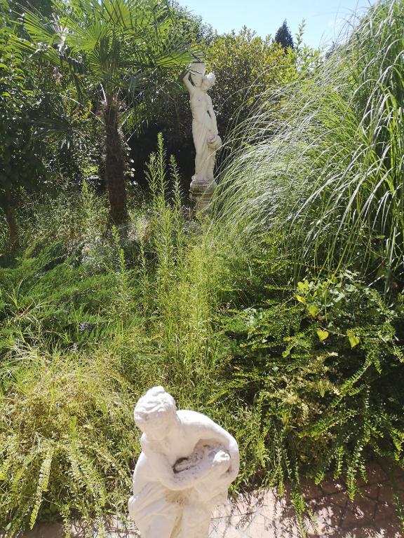 A garden outside Studio VIP-ZONE