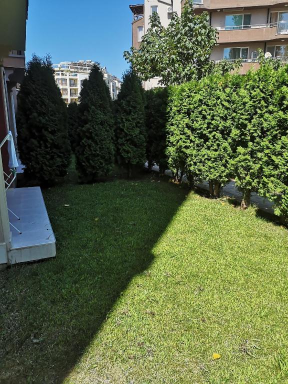 A garden outside Studio VIP-ZONE