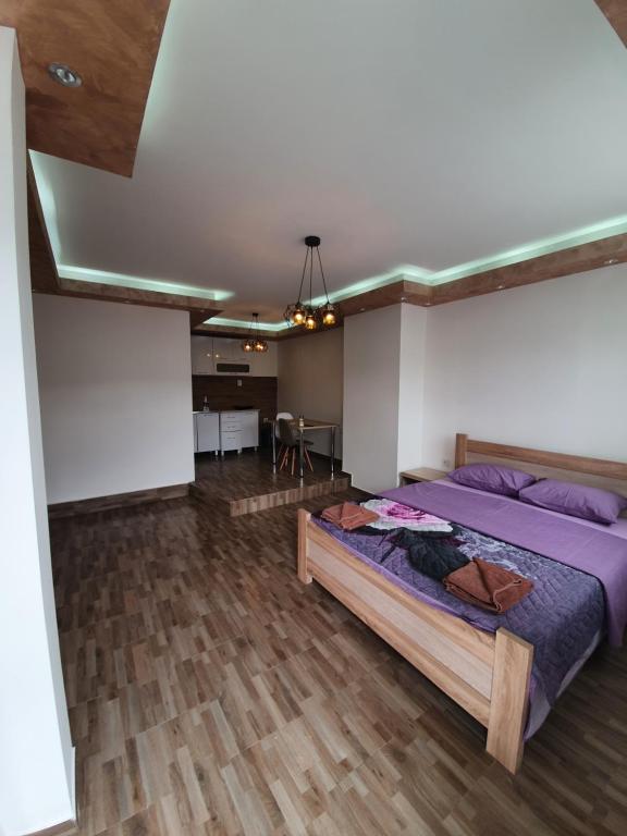 Photo de la galerie de l'établissement Studio apartment Lalović, à Žabljak