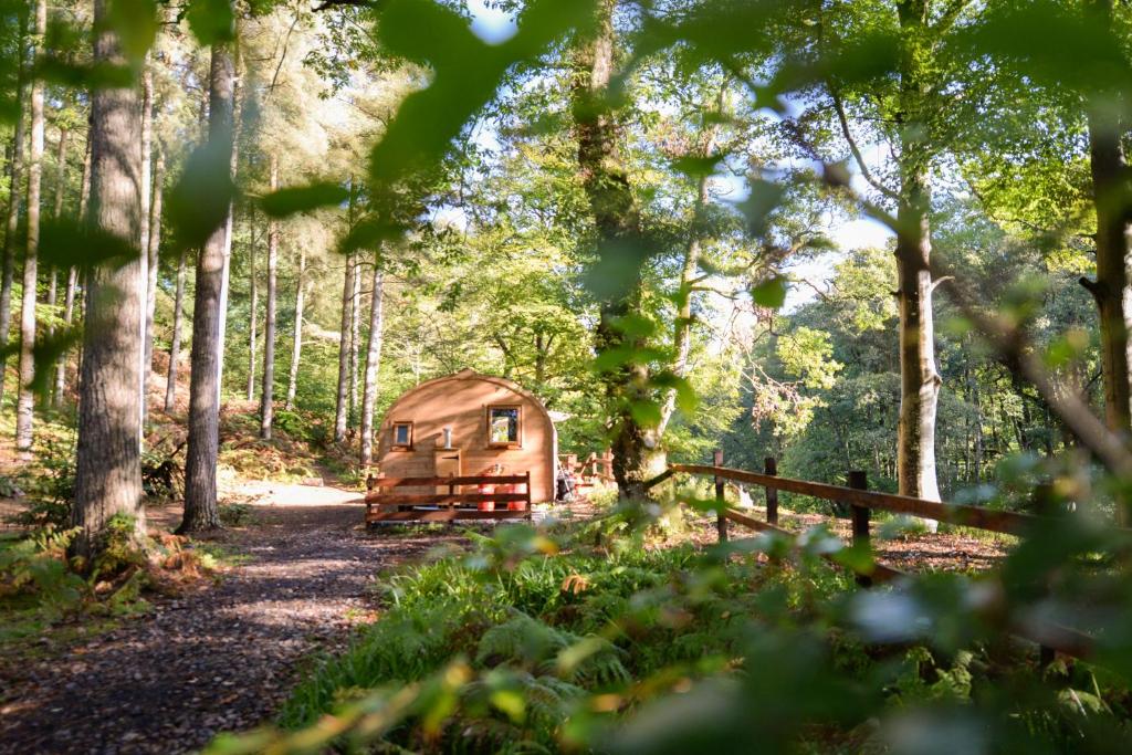 a cabin in the woods with a fence and trees at Broomhills Farm River Eco Pods in Carlisle