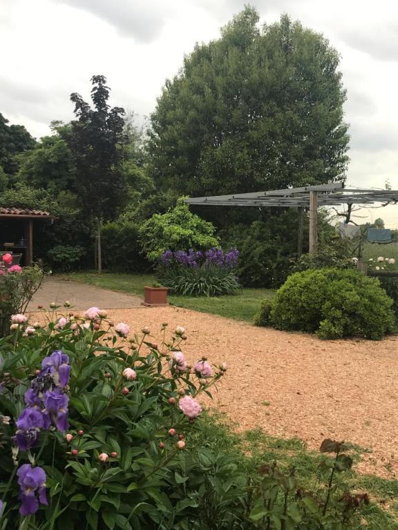 un jardin avec des fleurs et une pergola en bois dans l'établissement Una Casa di Campagna, à Dossobuono