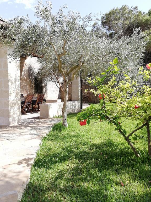Zahrada ubytování Casa Gelsomino