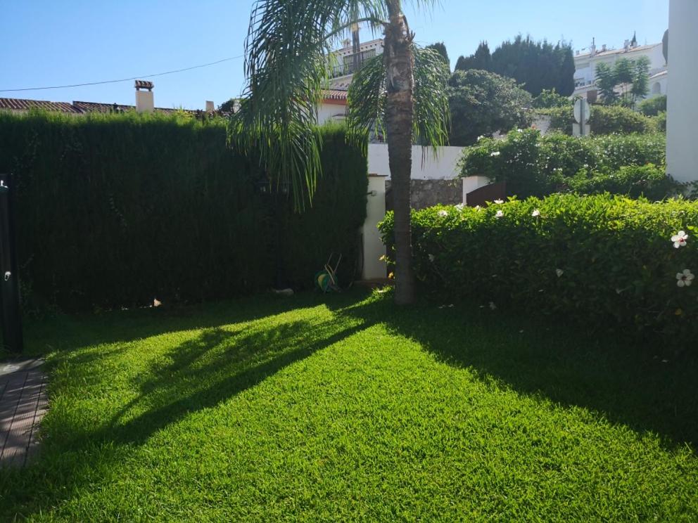 a green yard with a palm tree and a hedge at La Luna Blanca in Torremolinos