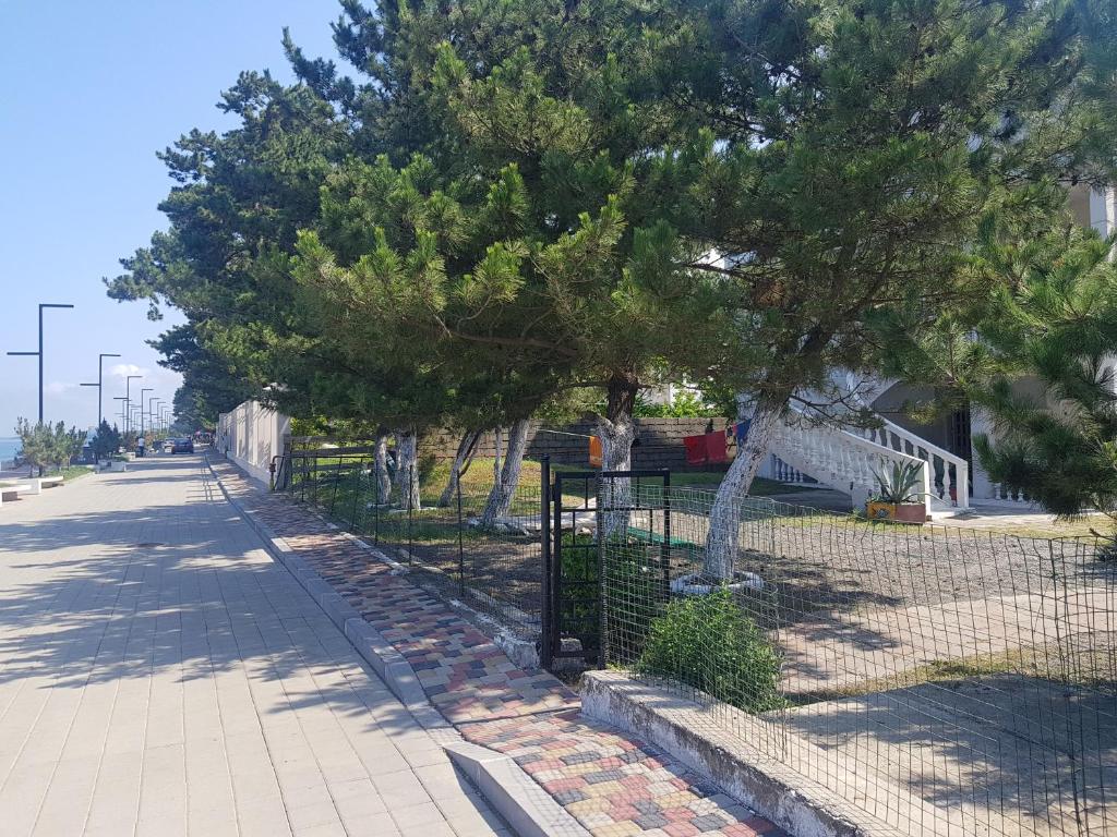 Il quartiere o una zona nella vicinanze dell'ostello