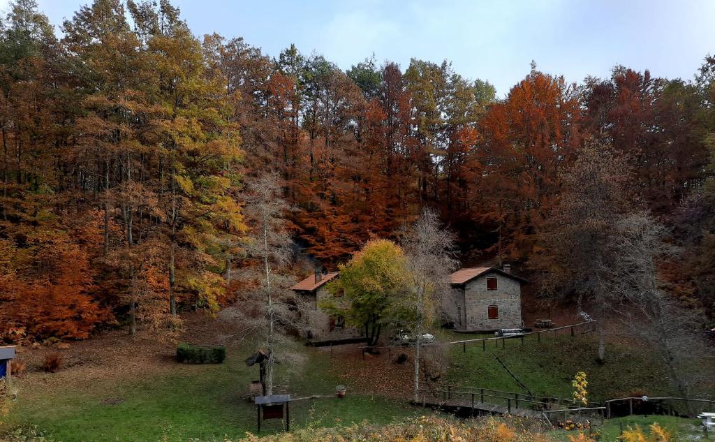 une vieille maison au milieu d'une forêt dans l'établissement Agriturismo il canale, à Corfino