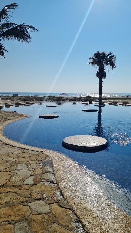 a pool of water with a palm tree on the beach at CARASOL VILLAS y SUITES PRIVADAS in Ciudad Madero
