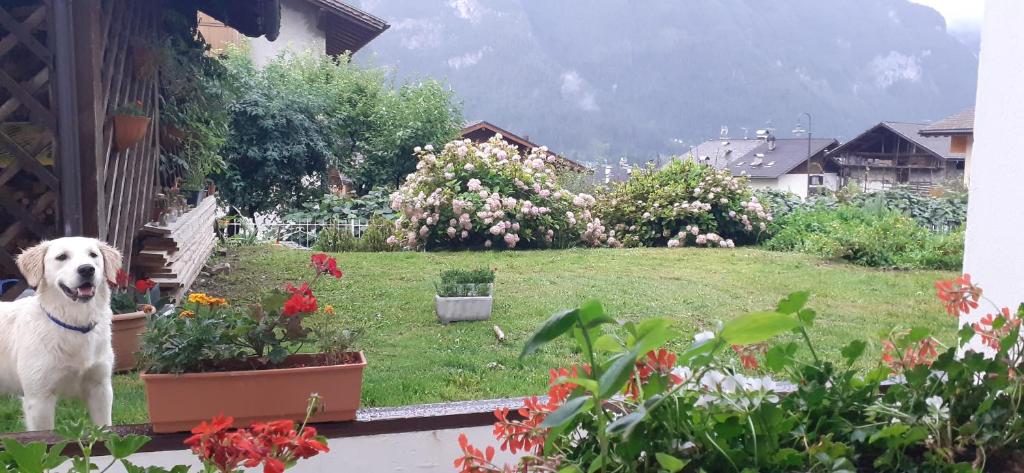 梅扎诺Casa Jolie的相册照片