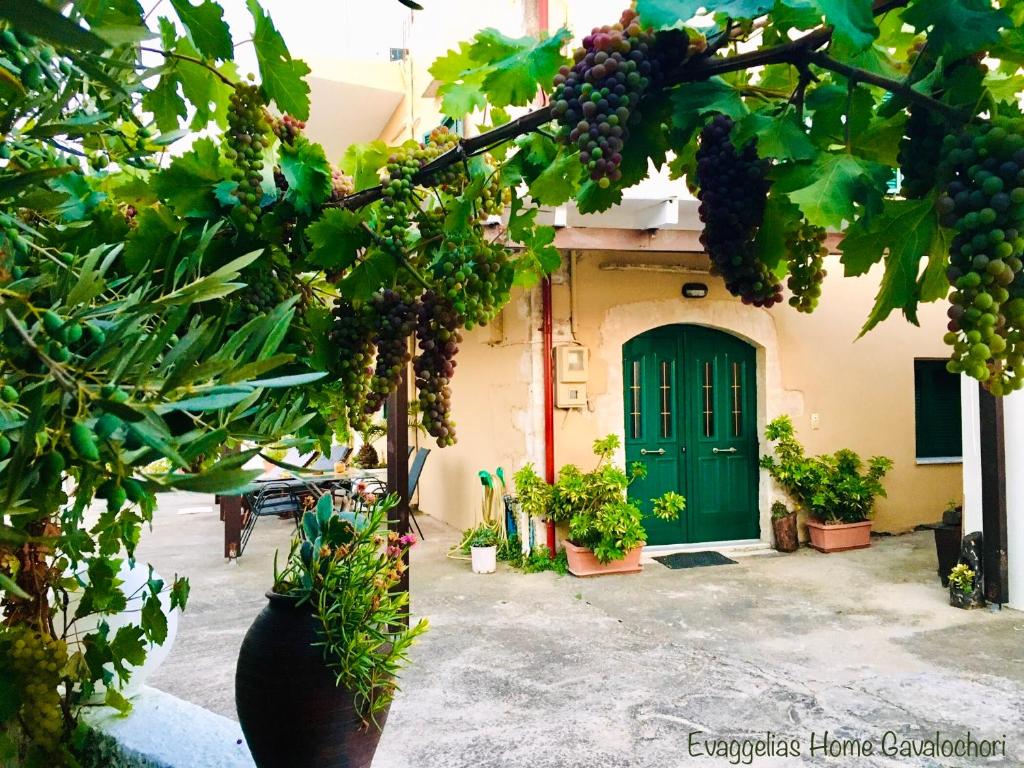 Zahrada ubytování Evaggelias Home Gavalochori