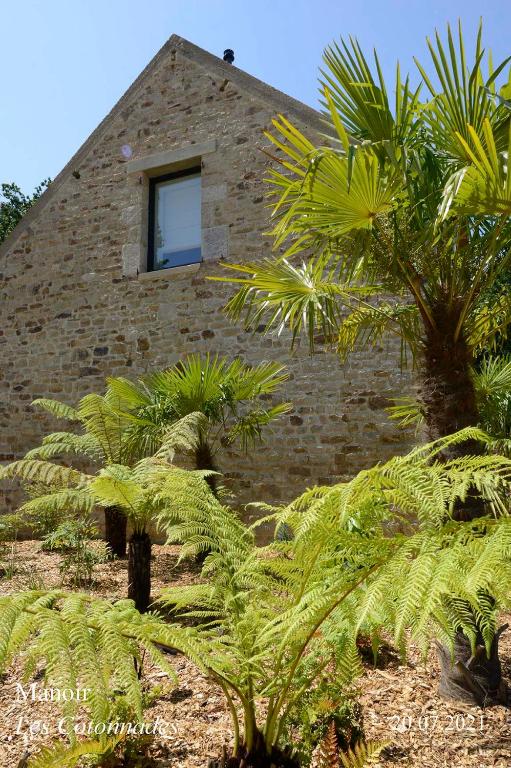 a brick building with a window and palm trees at Les Cotonnades Lorient in Lorient
