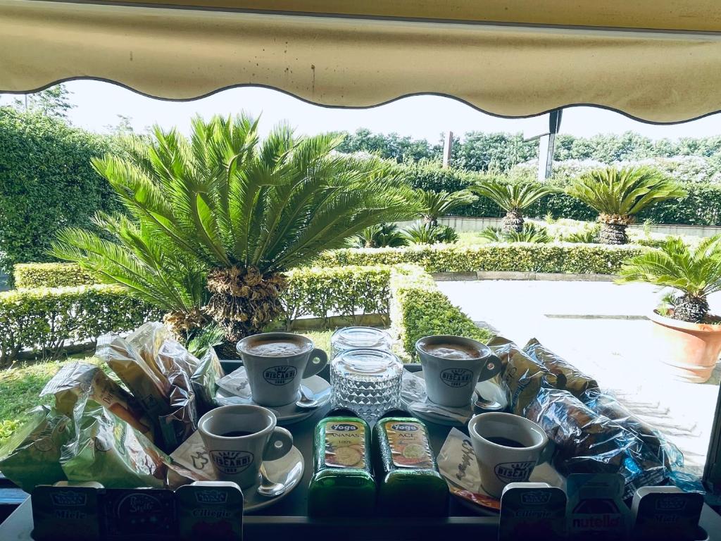 Zahrada ubytování Ninfa hotel