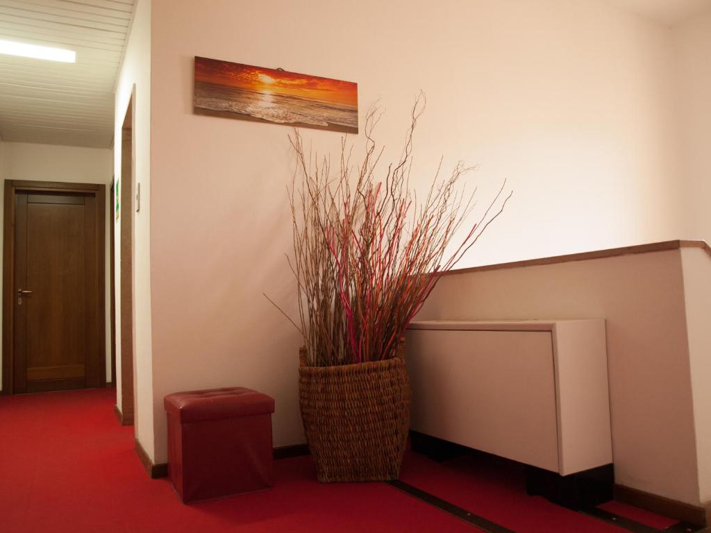 Fotografie z fotogalerie ubytování Hotel Garibaldi v destinaci La Maddalena