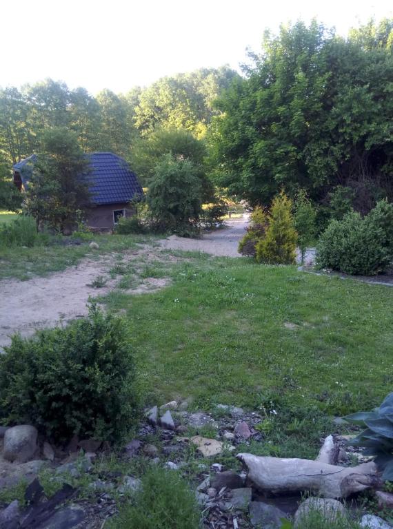 a yard with a house in the middle of a field at Domek Jana in Mrągowo