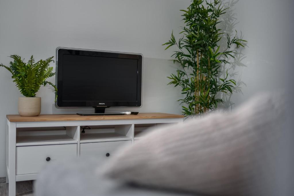 TV a/nebo společenská místnost v ubytování Lagom apartment Maribor w free parking & WiFi, tourist TAX included