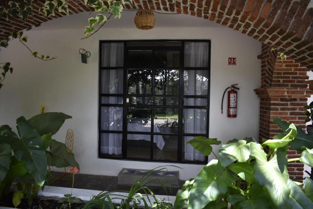 Zahrada ubytování Finca del Pomar