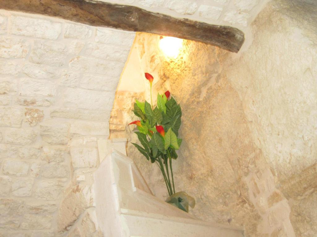 Fotografie z fotogalerie ubytování Portantica v destinaci Conversano