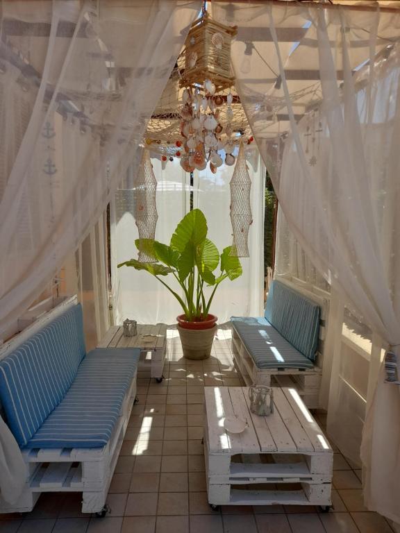a porch with two blue benches and a potted plant at Silvi d'aMare in Silvi Marina
