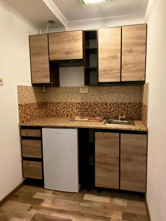 Kuchyň nebo kuchyňský kout v ubytování Venus hotel