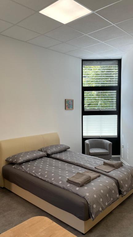 ein Schlafzimmer mit einem großen Bett und einem Fenster in der Unterkunft Simba Apartment B in Smarjeske Toplice