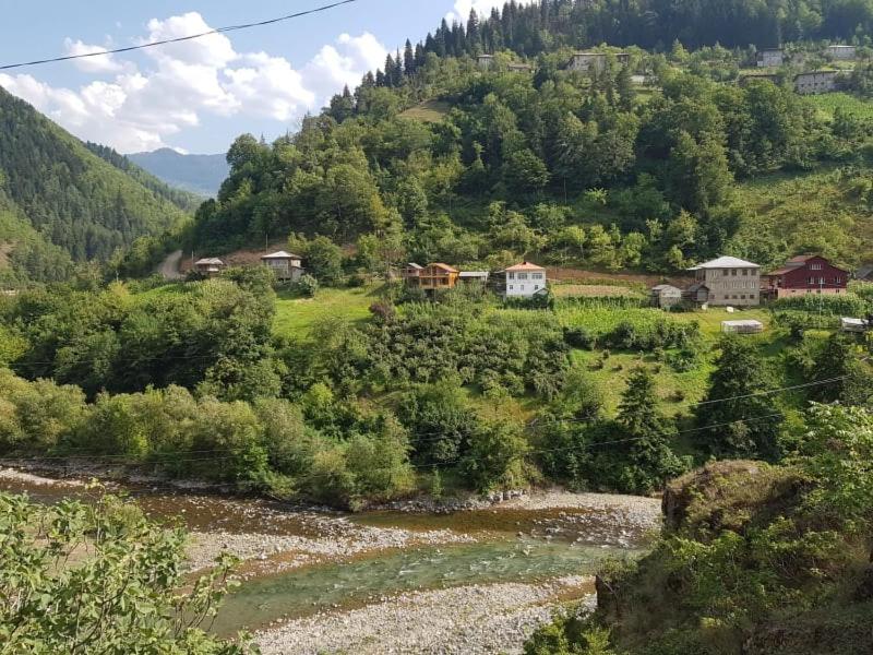 a view of a mountain with a river and houses at Guest House Okropilauri in Shuakhevi