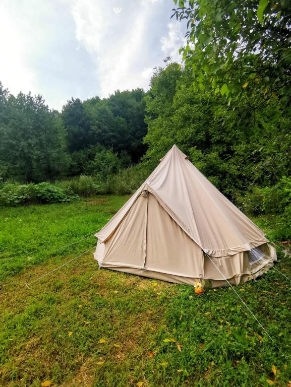Příroda nedaleko kempu