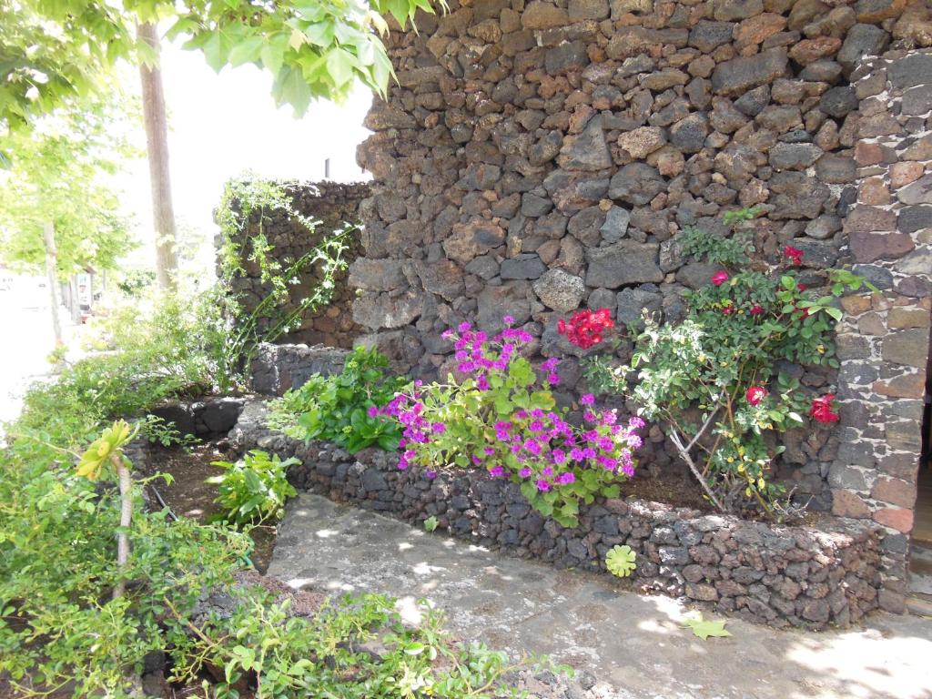 Zahrada ubytování Casa Rural Aborigen Bimbache