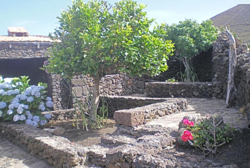 Zahrada ubytování Casa Rural Aborigen Bimbache