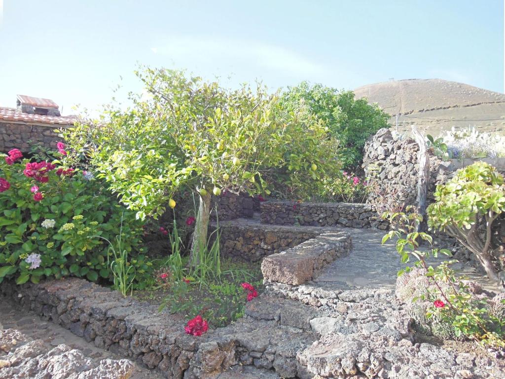Zahrada ubytování Casa Rural Aborigen Bimbache