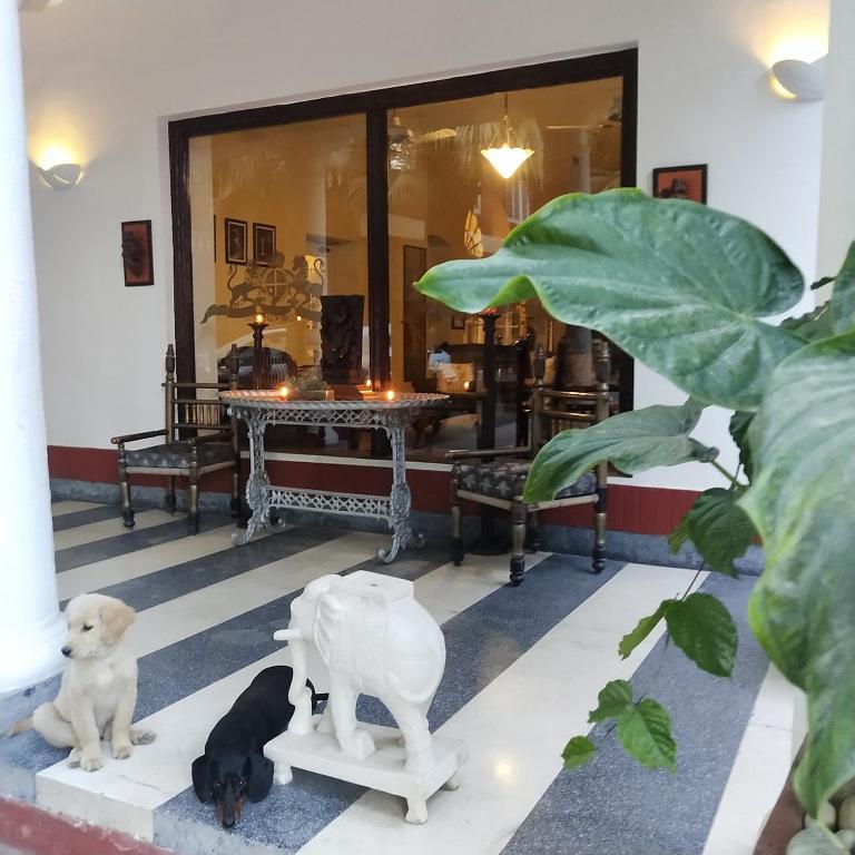 Fotografie z fotogalerie ubytování Ranjit's Svaasa Amritsar v destinaci Amritsar