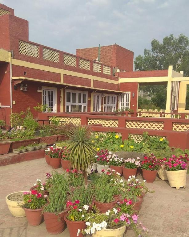 Zahrada ubytování Ranjit's Svaasa Amritsar