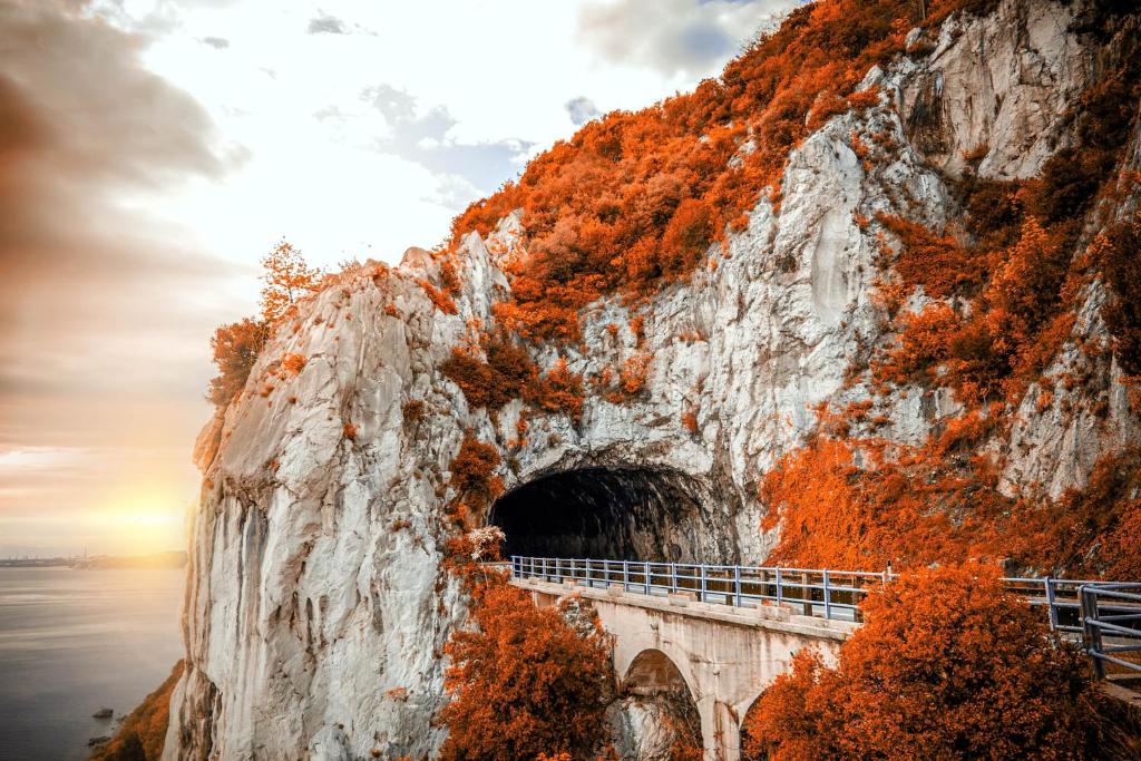 Residence Garibaldi - Resim 45