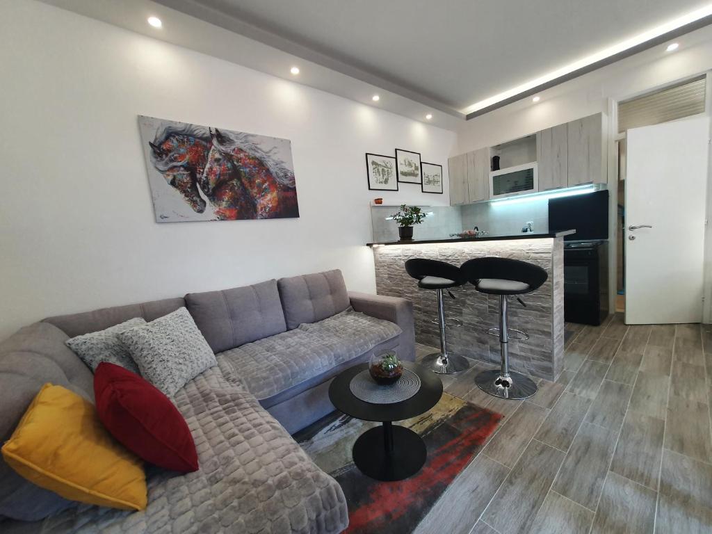 a living room with a couch and a bar at Studio Milenic in Trebinje