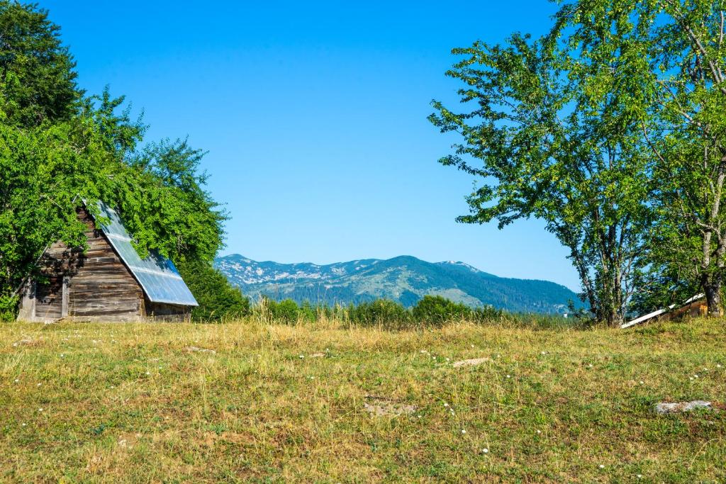 Příroda nedaleko apartmánu
