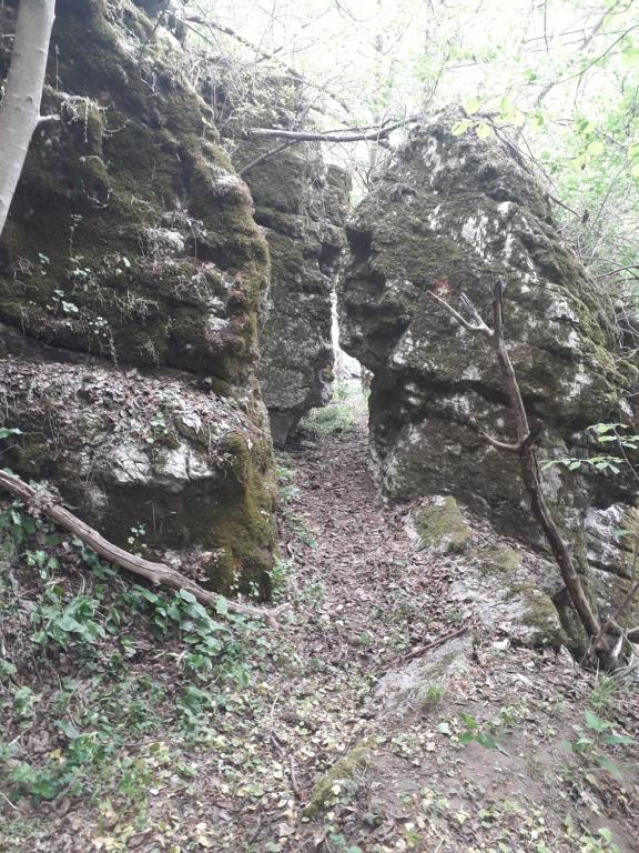 a stone wall with a path through it at Etno Kuca Badejevic in Plavna