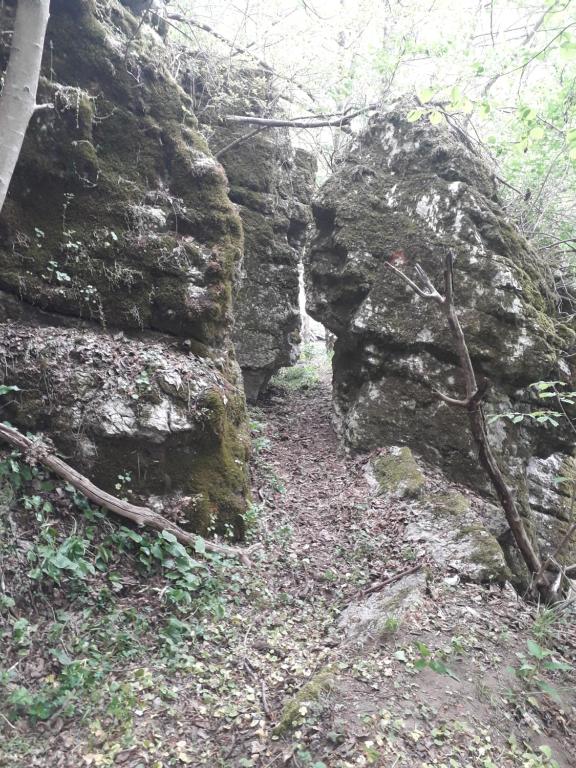 Etno Kuca Badejevic - Housity
