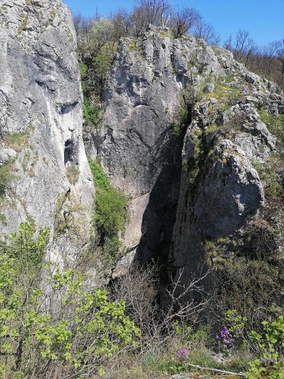 Příroda nedaleko prázdninového domu