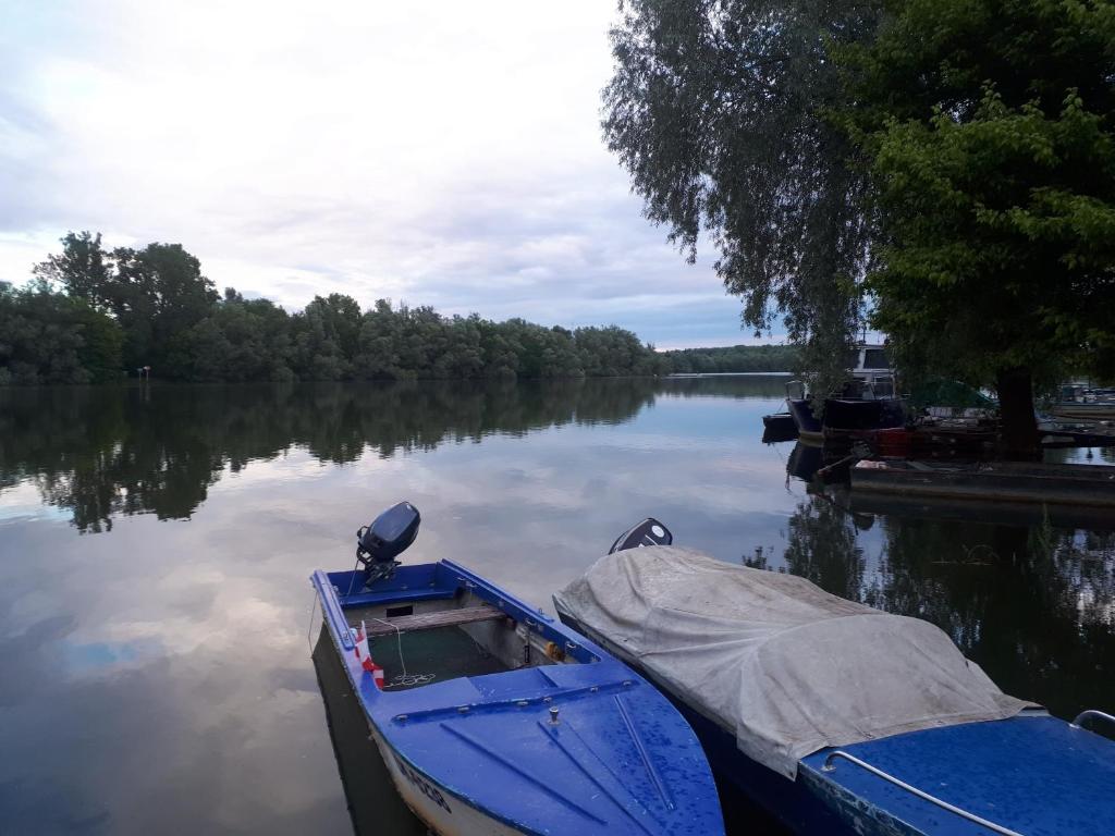 Výhľad na rieku v blízkosti apartmánu