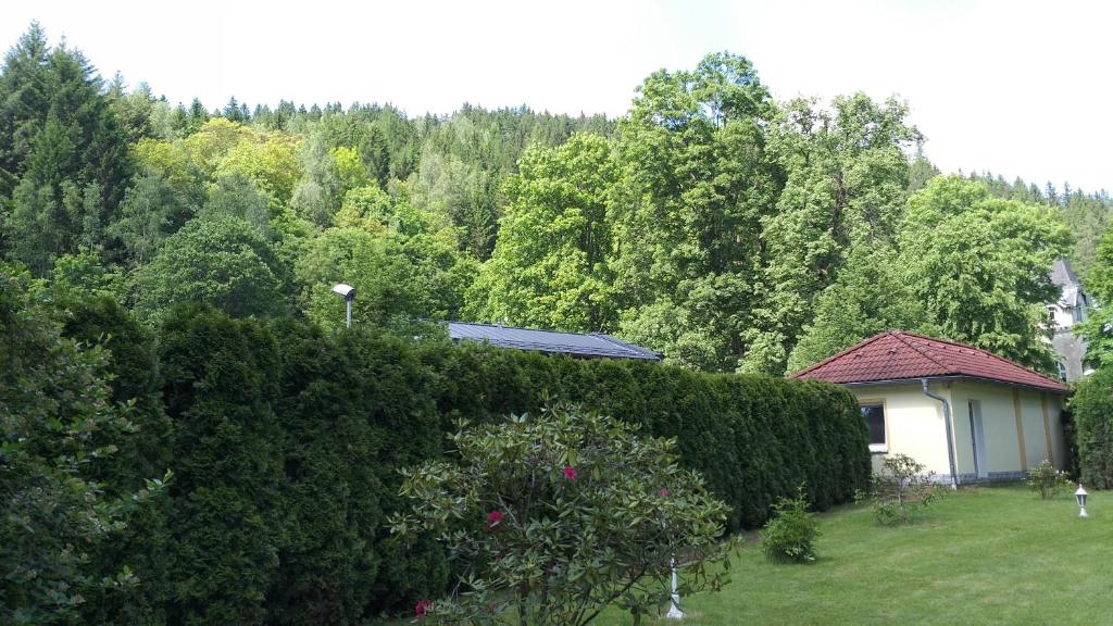 Zahrada ubytování Apartmán Kraslice