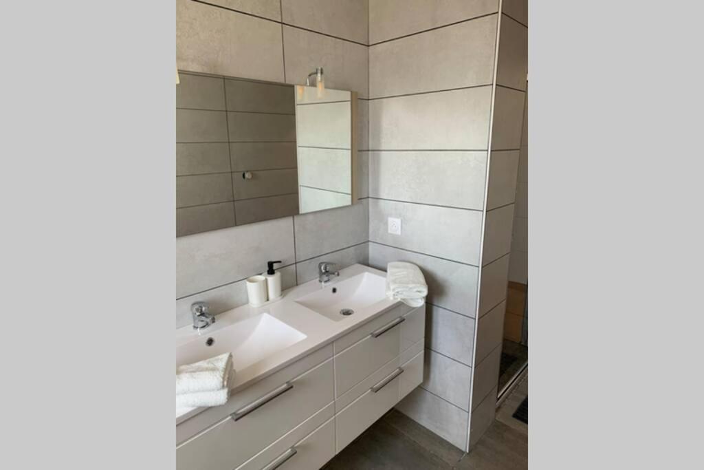 een badkamer met een wastafel en een spiegel bij Grande maison neuve idéale pour 6 personnes in Saint-Loubès