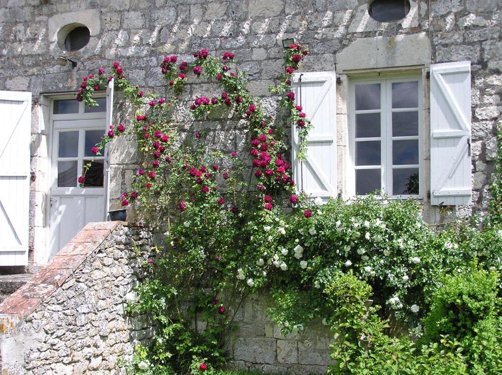 Domaine de L'Isle Basse - Double Room With Extra Bed