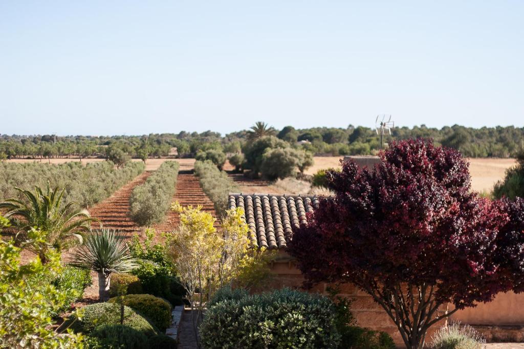 Zahrada ubytování Finca Agroturismo Can Carro