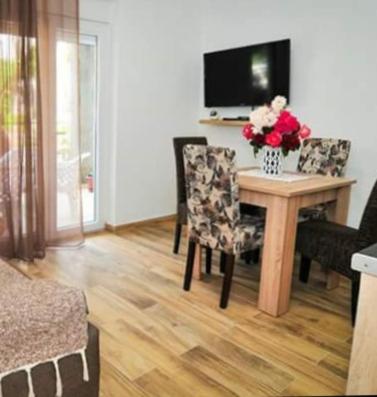 TV a/nebo společenská místnost v ubytování Apartmani Bekonja