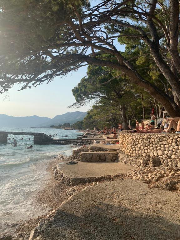 Fotografie z fotogalerie ubytování OAZA MIRA Mobile Houses - Camp Baško Polje #BestOffer v destinaci Baška Voda