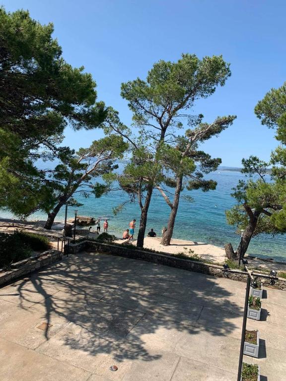 Fotografie z fotogalerie ubytování OAZA MIRA Mobile Houses - Camp Baško Polje #BestOffer v destinaci Baška Voda