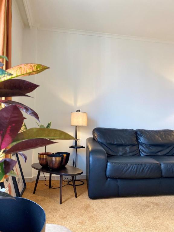 Aalst City Center Apartment - 一居室公寓