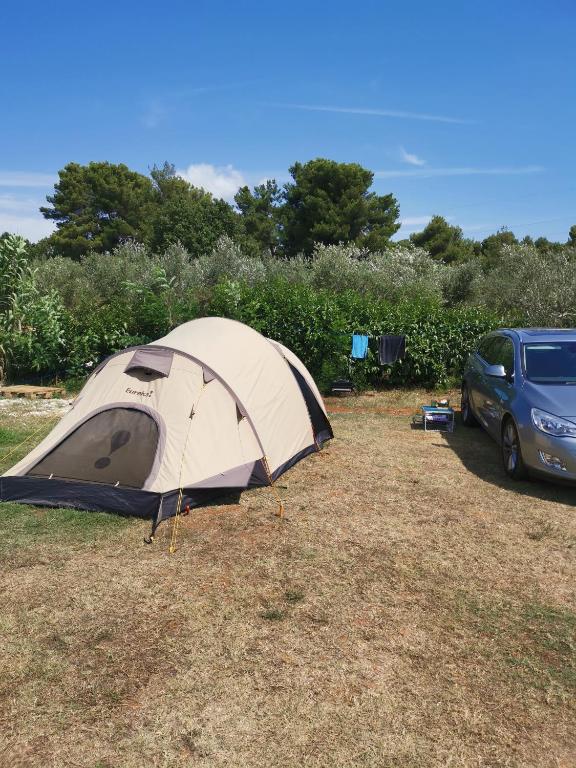 Fotografie z fotogalerie ubytování Camping Volme v destinaci Banjole