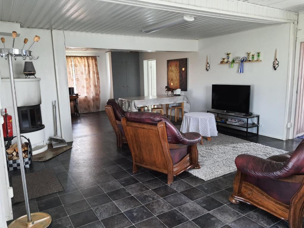塞伊奈約基的住宿－Tiinan Tallin talo，客厅配有皮椅和电视